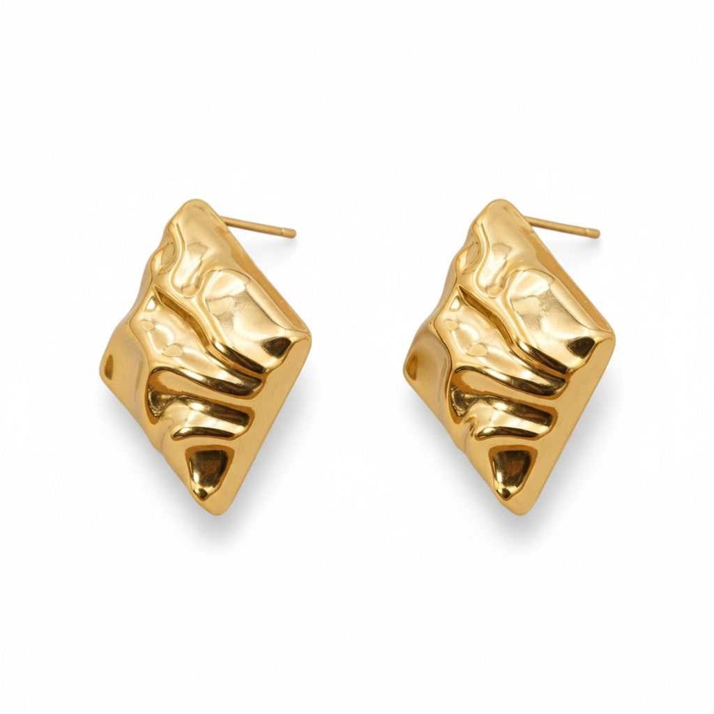 Encanto Stainless Steel Earrings