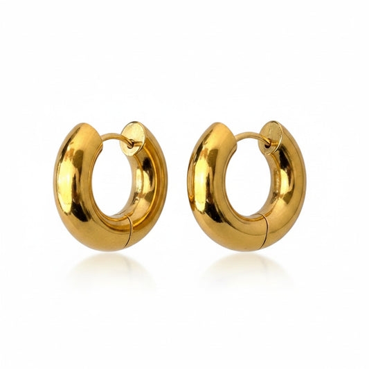 Alexa Hoop Stainless Steel Earrings