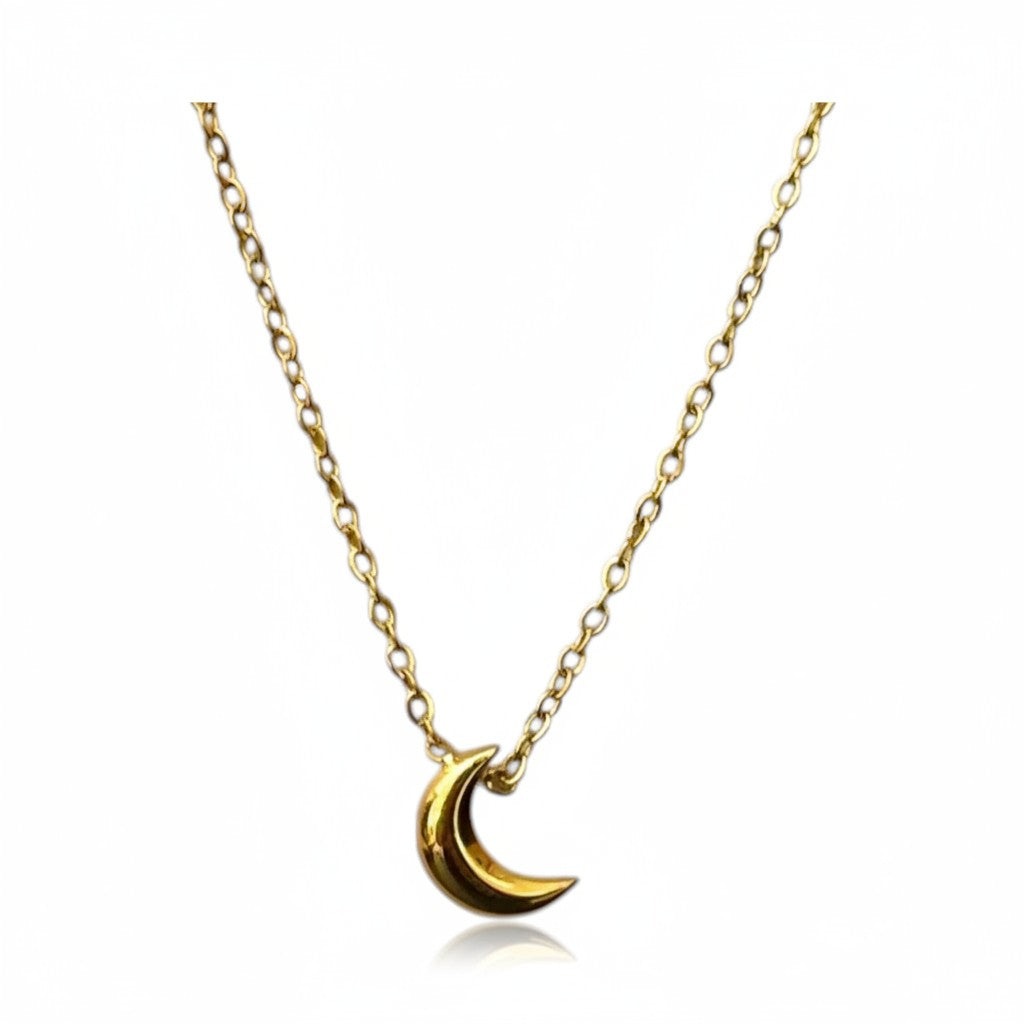 Luna Stainless Steel Necklace