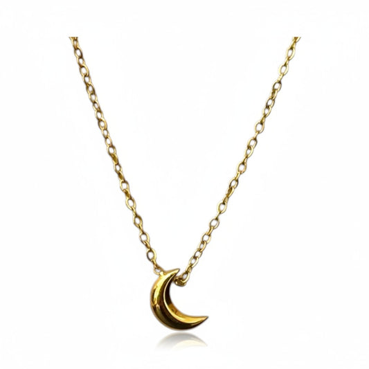 Luna Stainless Steel Necklace